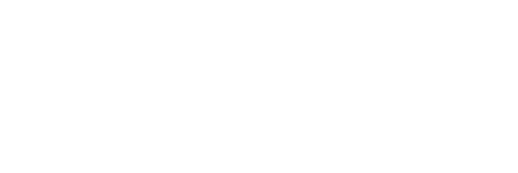 logo solo blanco