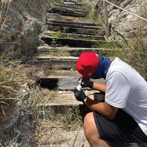 san franciscoartboard 51 copy 5@4x