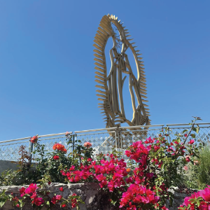 san franciscoartboard 51 copy 6@4x