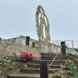 san franciscoartboard 52 copy 3@4x