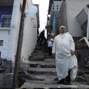 caminandoartboard 51 copy 7@4x