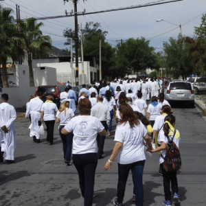 caminandoartboard 51 copy 8@4x